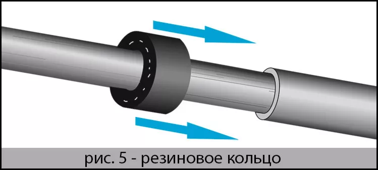 ris-5.jpg